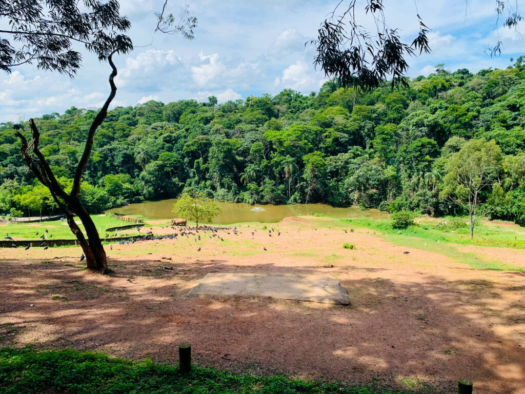 O Que Ver E Fazer Em Itatiba Sp Viajante Sem Fim