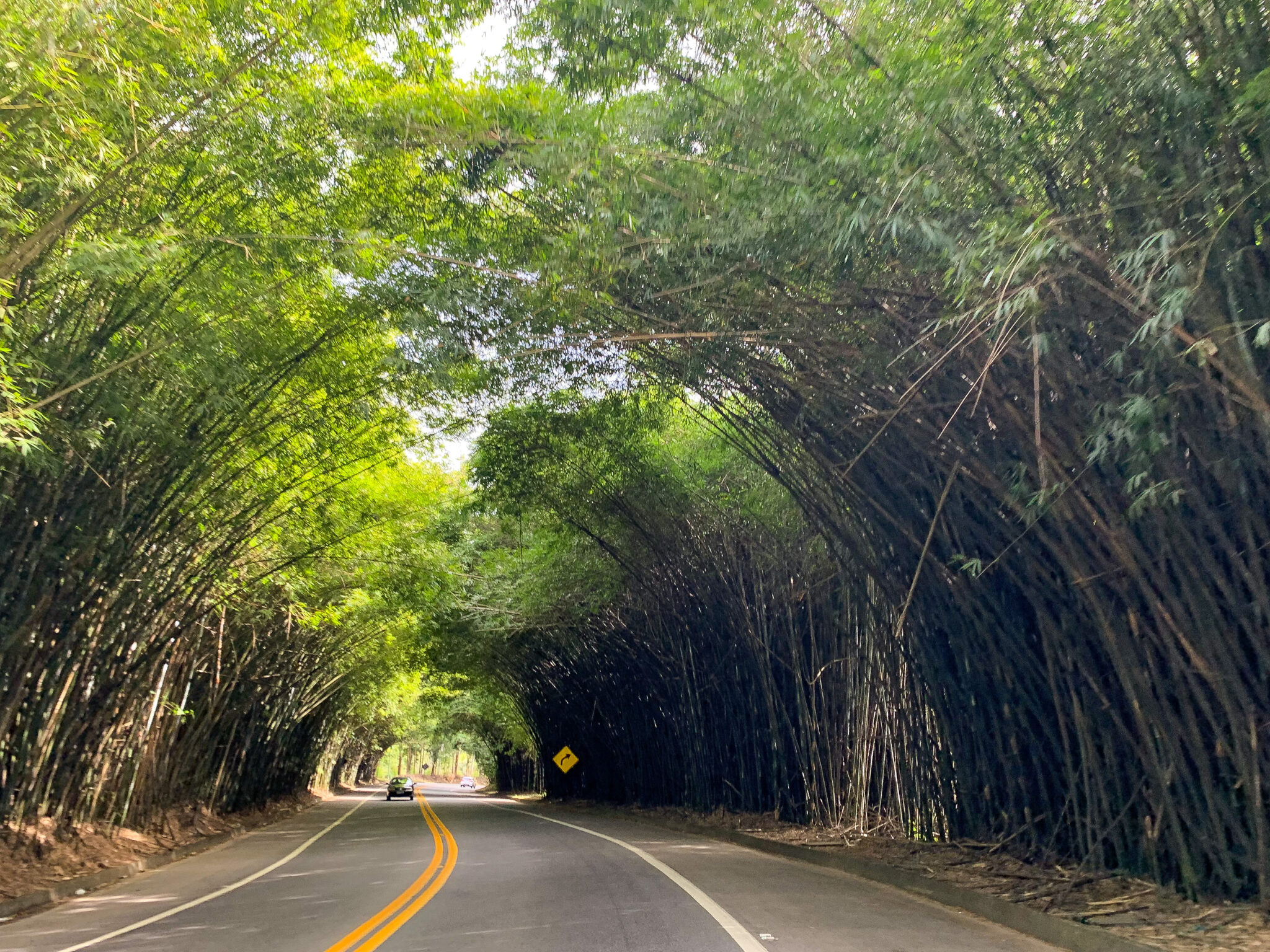 O que ver e fazer em Morungaba/SP - Viajante Sem Fim
